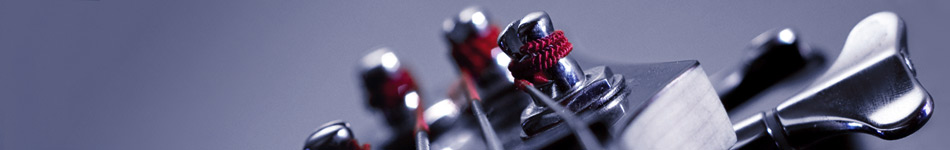 bass guitar and amplifier info